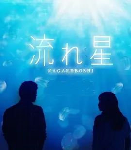 《流星 (2010)》无广告免费在线观看-星辰影视 影视《流星 (2010)》高清免费在线播放-vs影院_详情介绍 《流星 (2010)》百度云/夸克迅雷网盘资源下载